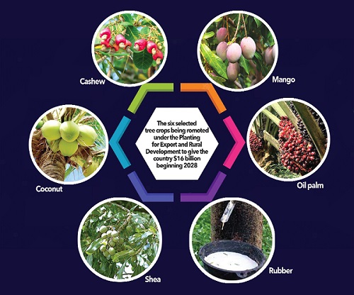 Diversifying cash crops